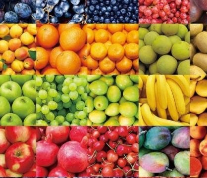 AA12 TARTO fruit