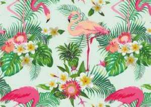 AH15 FLAMINGO Rose