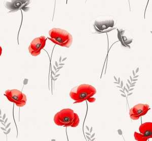AA13 POPPY rouge