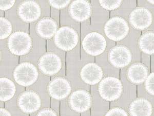 PTIA12 ASTER Neige