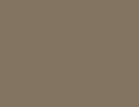 ADA14 LAQUE taupe